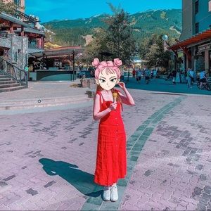 Aritzia Wilfred Dress